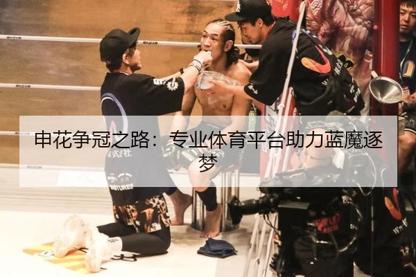 申花争冠之路：专业体育平台助力蓝魔逐梦
